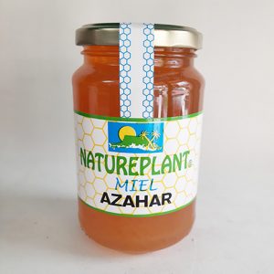 MIEL AZAHAR 500 g
