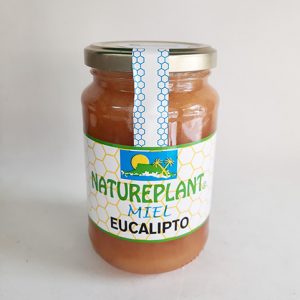 MIEL EUCALIPTO 500 g